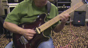 Snowbird guitar by granny