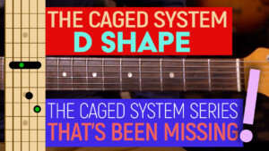 the caged system - D shape